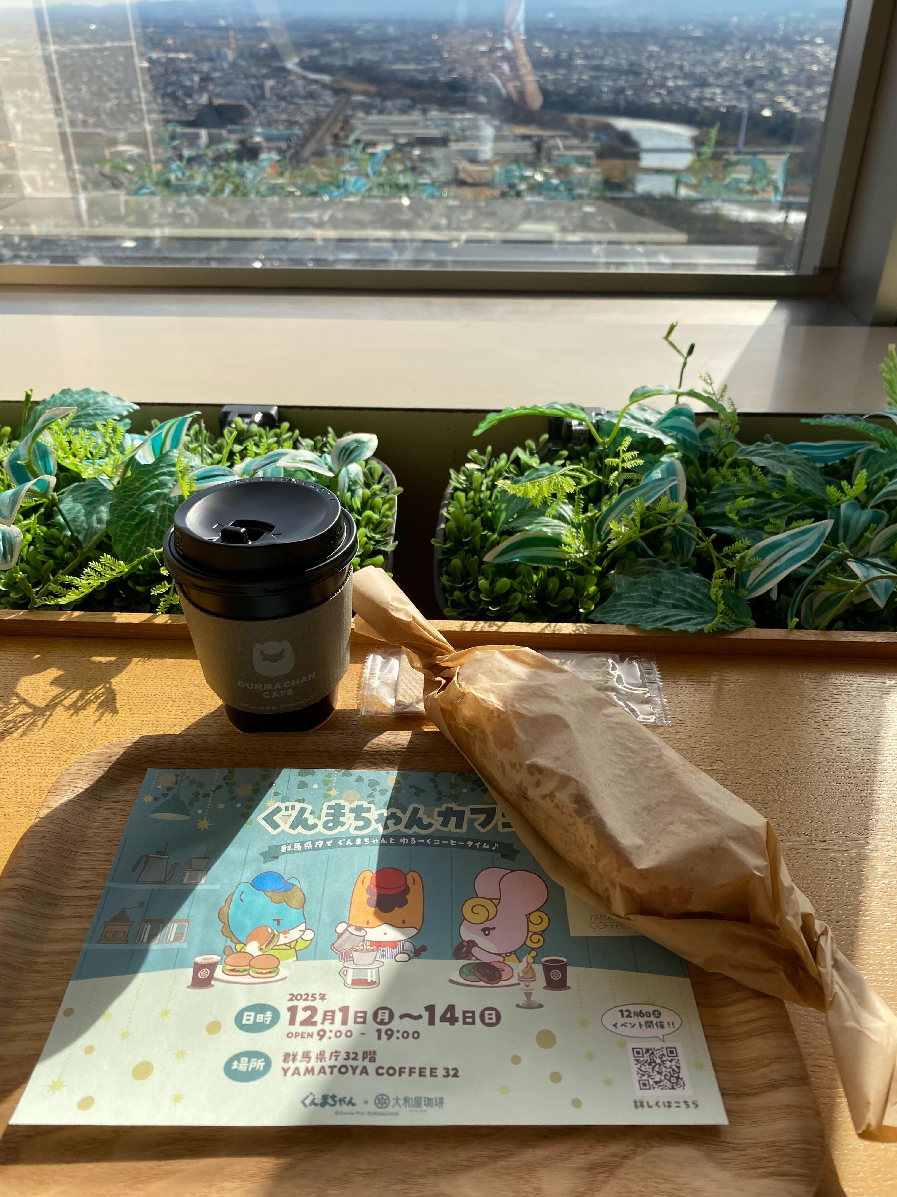 群馬県庁32階からの景色とぐんまちゃん